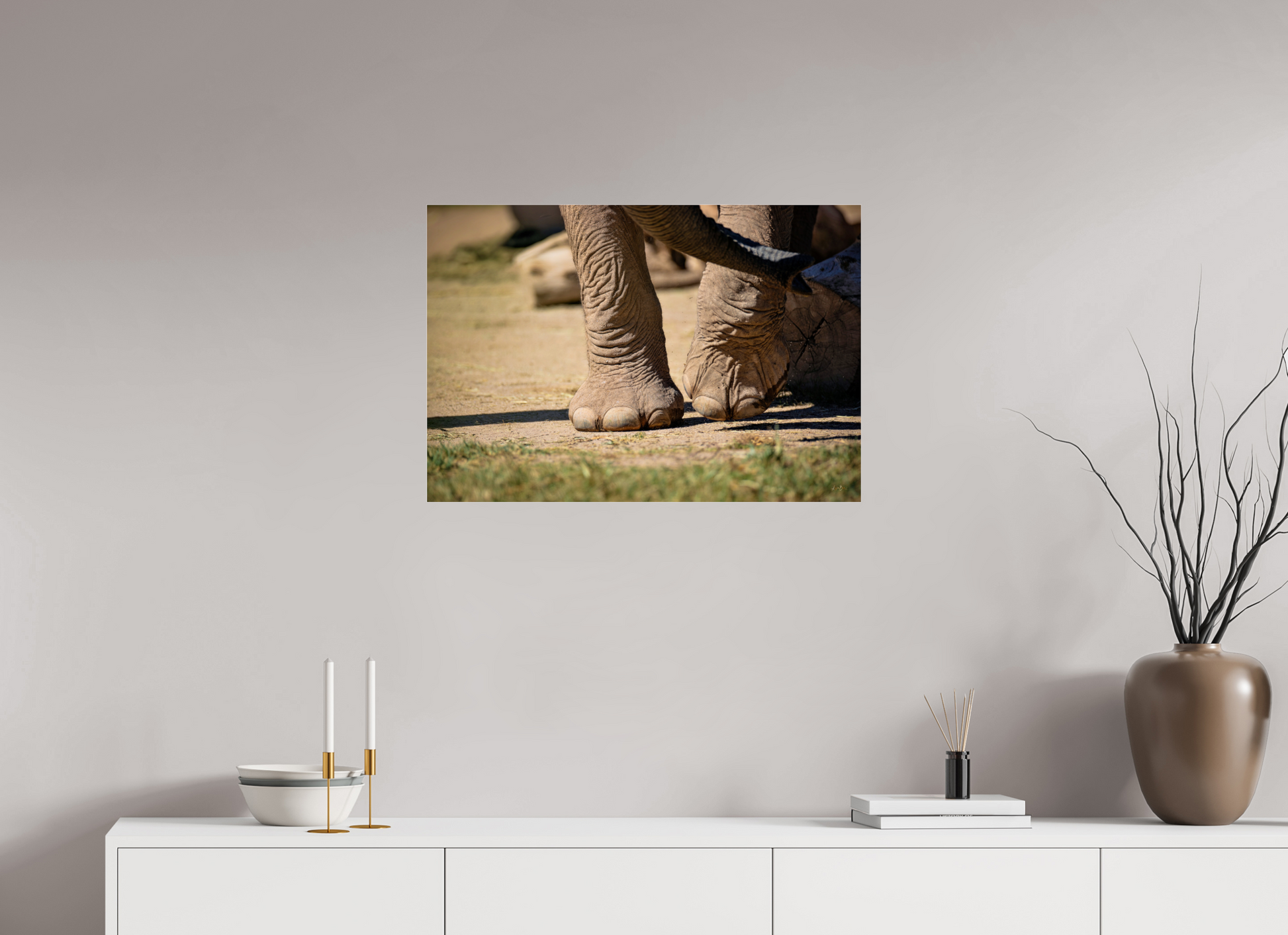 29.3 x 20″, Photo Print Under Acrylic Glass Ellie Struts