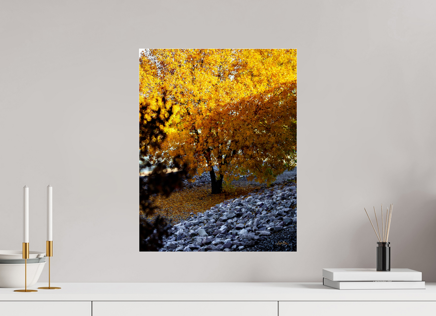 16 x 20.6″, Photo Print Under Acrylic Glass December in Arizona