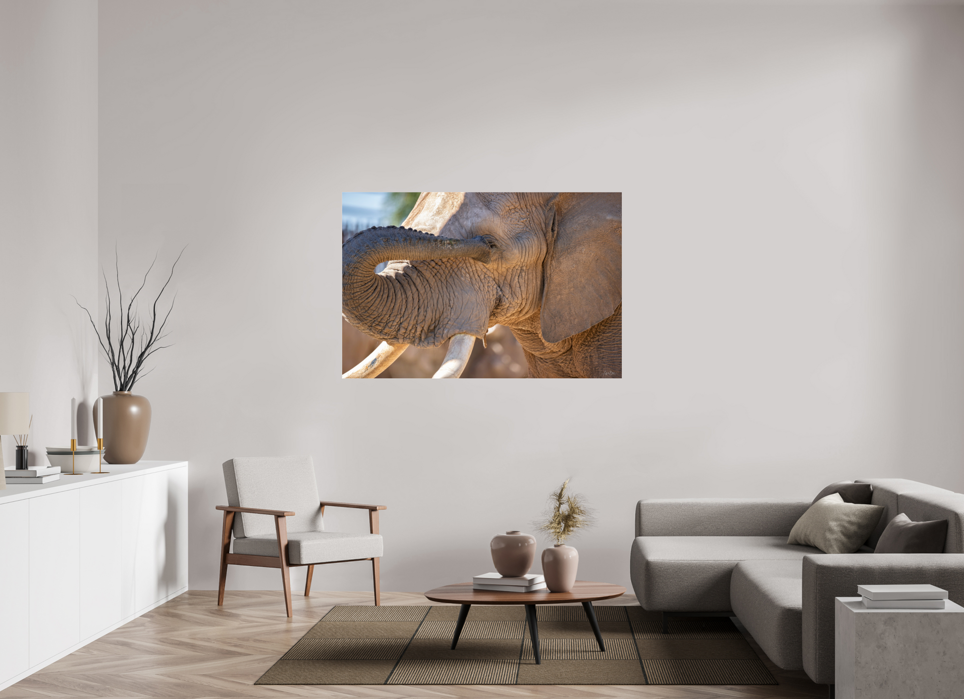 60 x 40″, Photo Print Under Acrylic Glass Bashful Ellie The Elephant