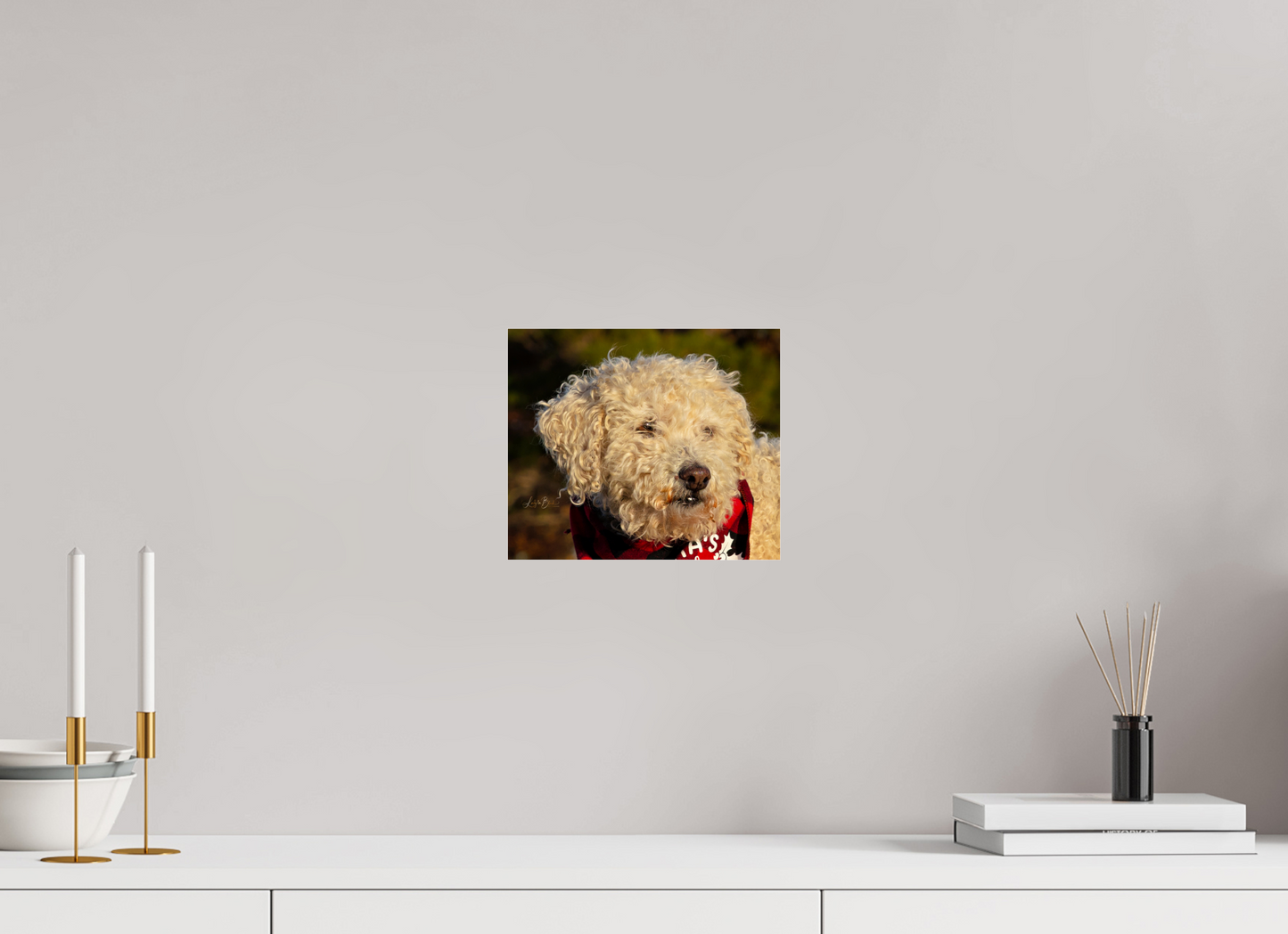 9.4 x 8″, Photo Print Under Acrylic Glass Fufu