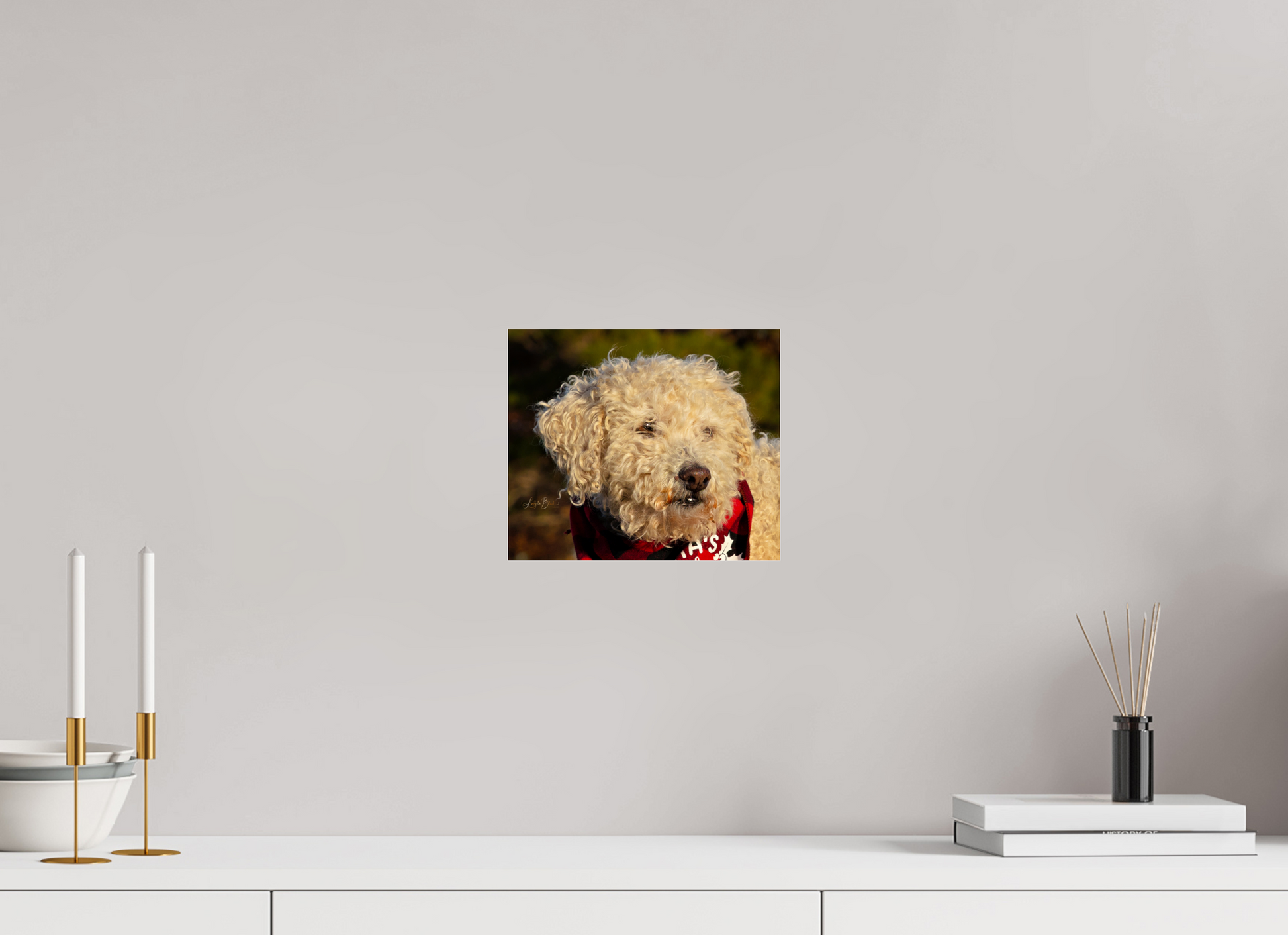 9.4 x 8″, Photo Print Under Acrylic Glass Fufu