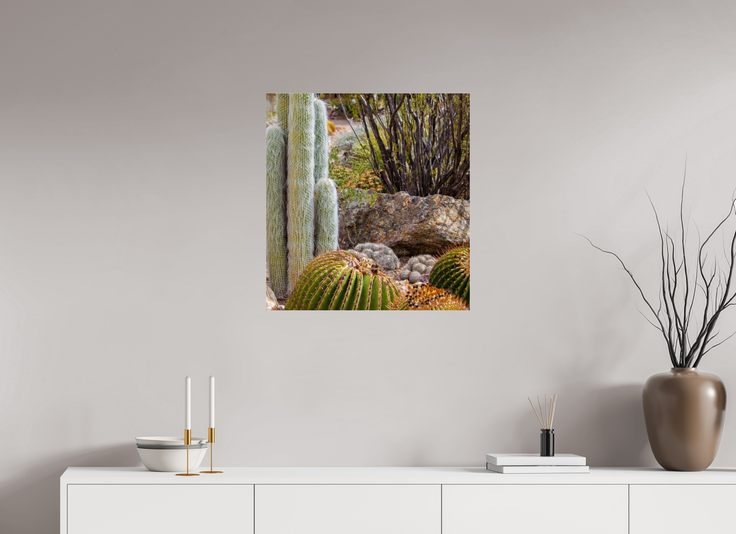 24 x 25.6″, Photo Print Under Acrylic Glass Cacti III Closeup