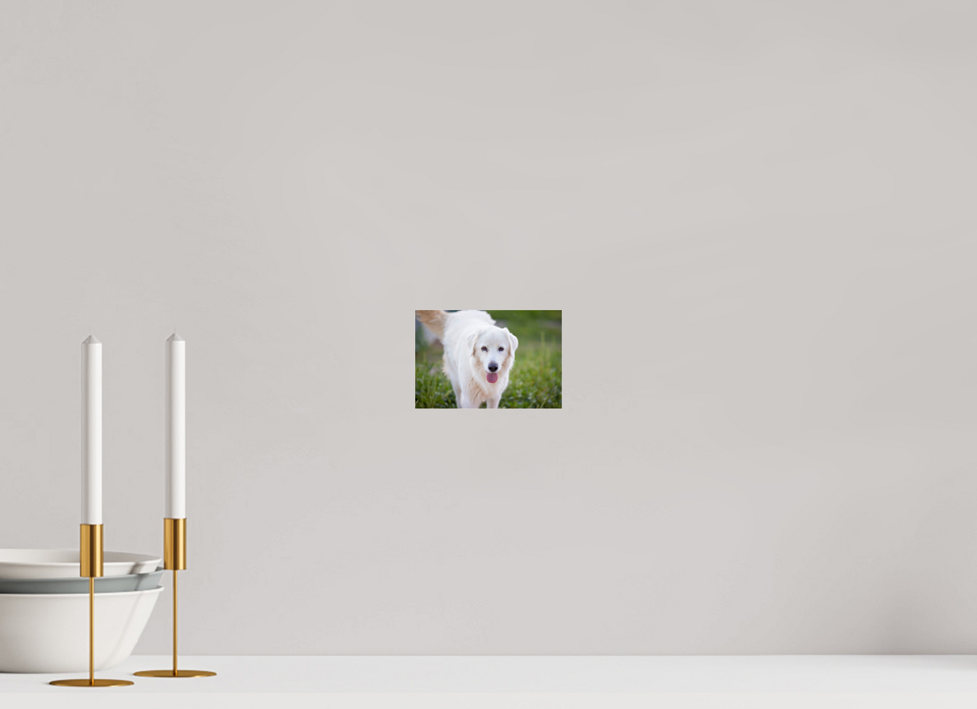 6 x 4″, Photo Print Under Acrylic Glass Sophie