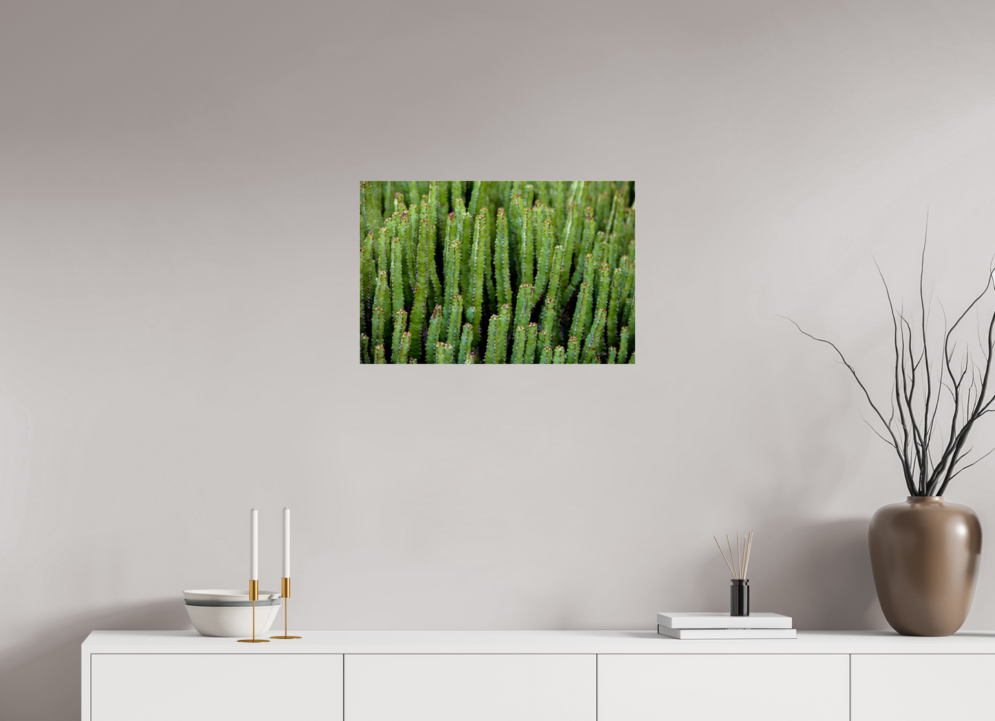 24 x 16″, Photo Print Under Acrylic Glass Cacti V