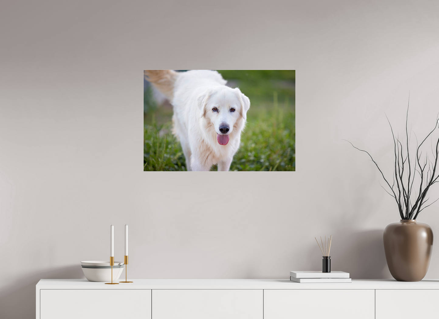 30 x 20″, Photo Print Under Acrylic Glass Sophie