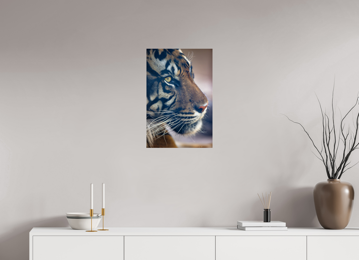 16 x 24″, Photo Print Under Acrylic Glass No Introduction Needed