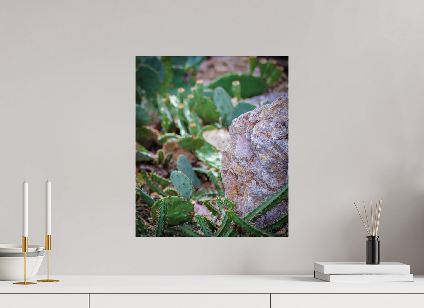 16 x 18.8″, Photo Print Under Acrylic Glass Cacti IV
