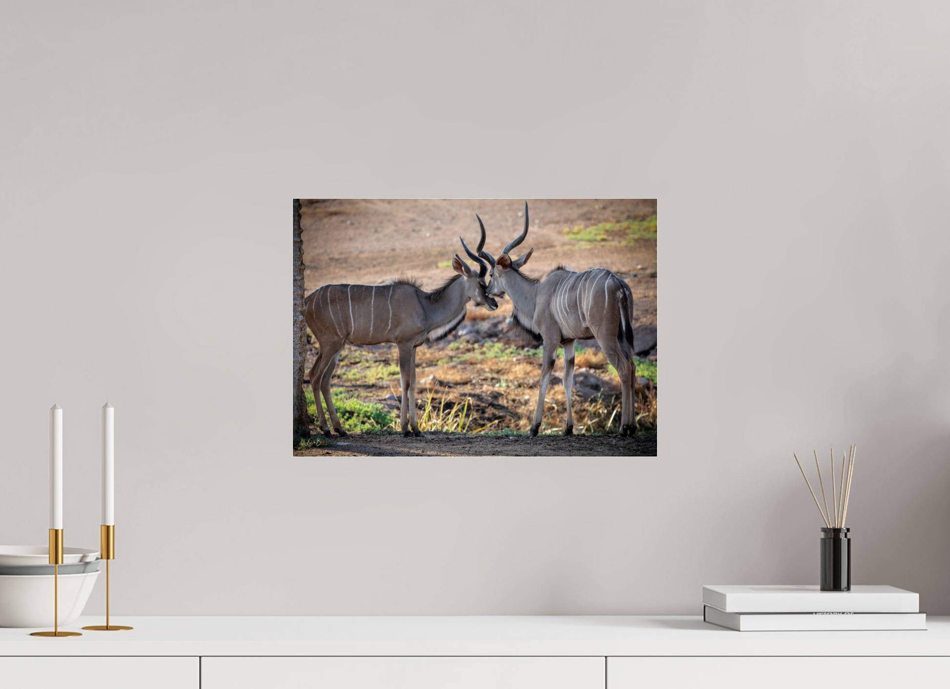 17 x 12″, Photo Print Under Acrylic Glass Love You, Too