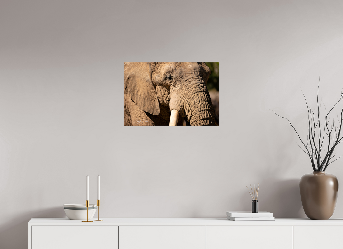 24 x 16″, Photo Print Under Acrylic Glass Ellie The Elephant