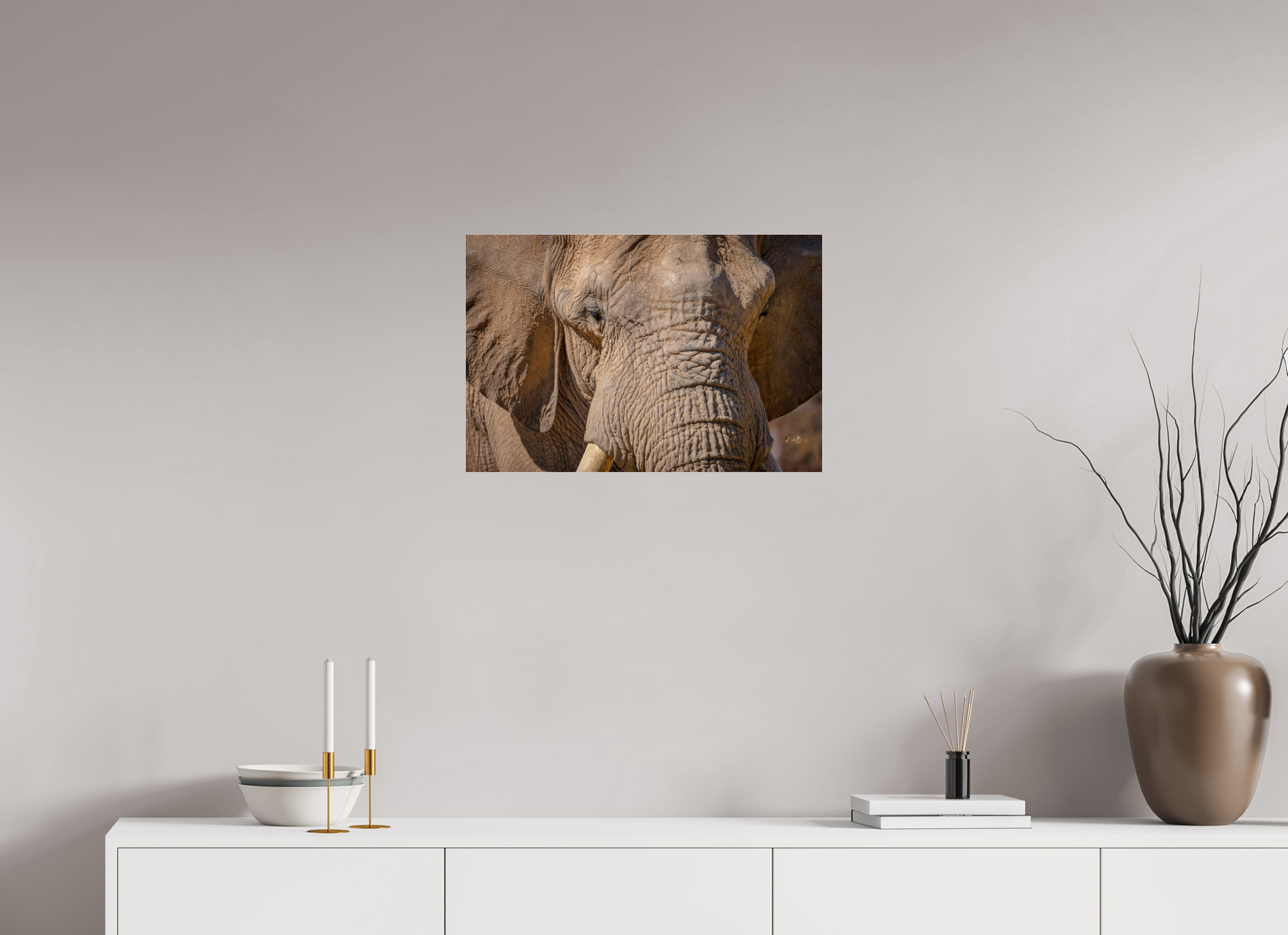 24 x 16″, Photo Print Under Acrylic Glass Ellie All Ears