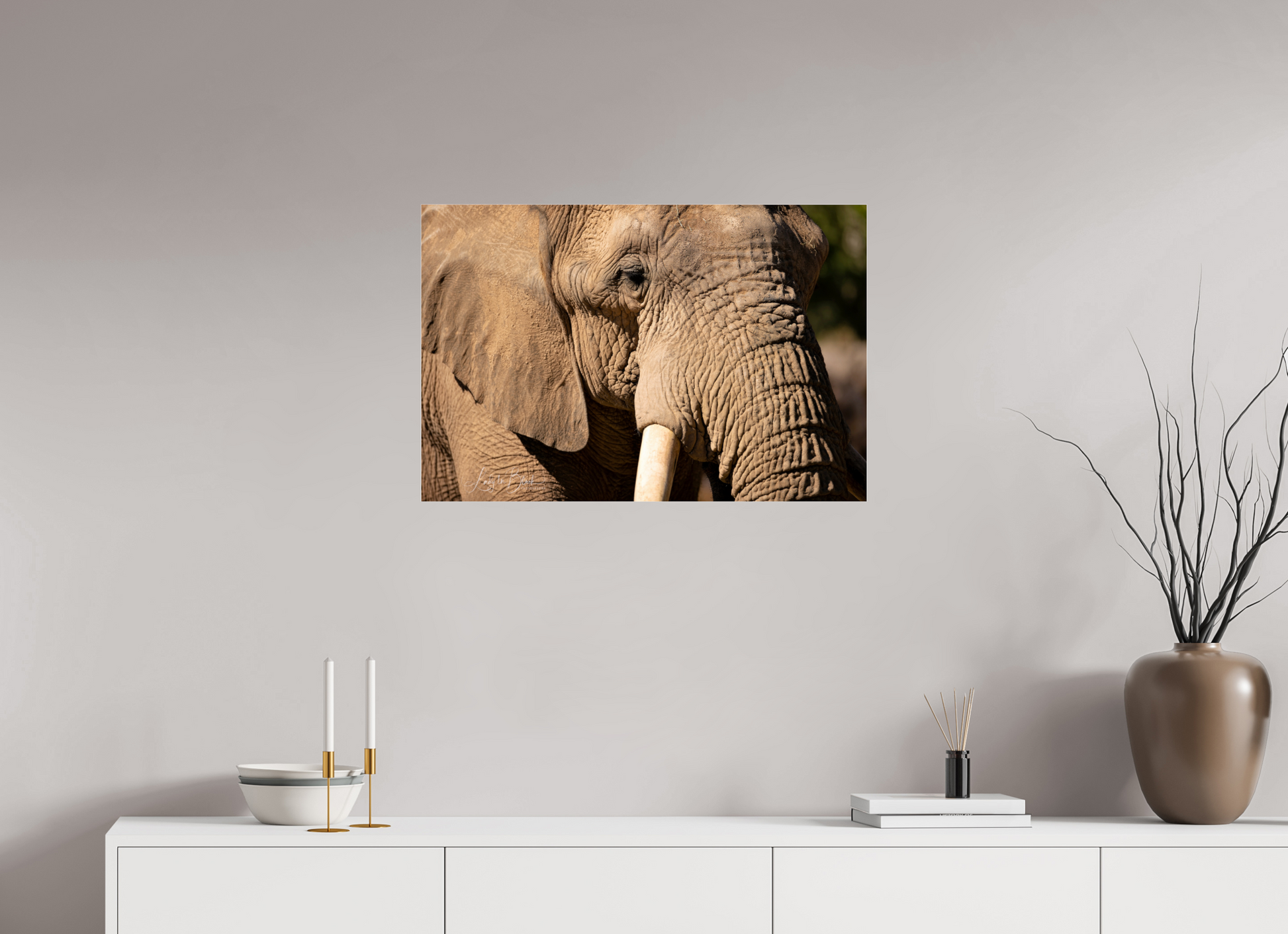 30 x 20″, Photo Print Under Acrylic Glass Ellie The Elephant