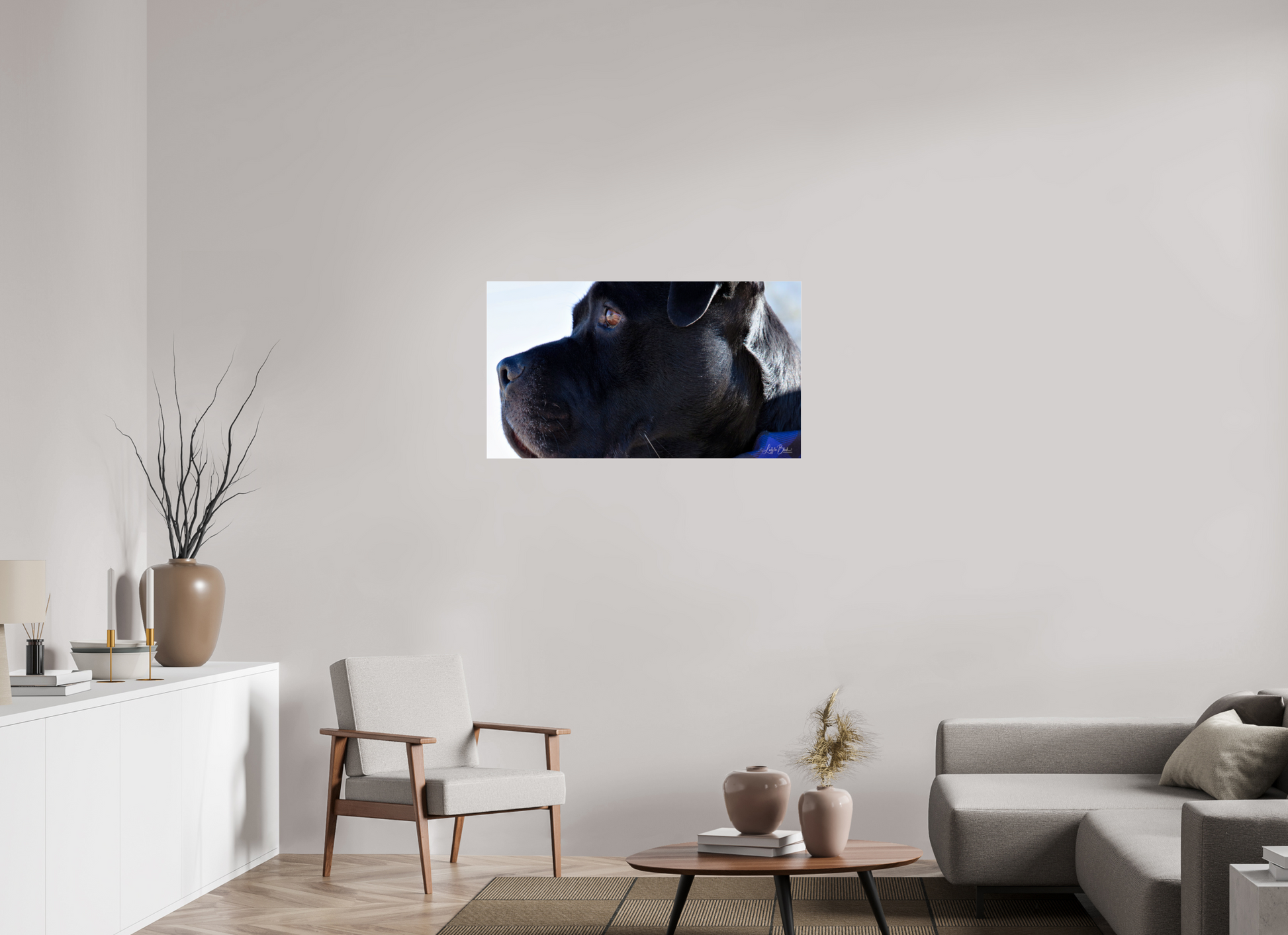 40 x 22.5″, Photo Print Under Acrylic Glass Leo