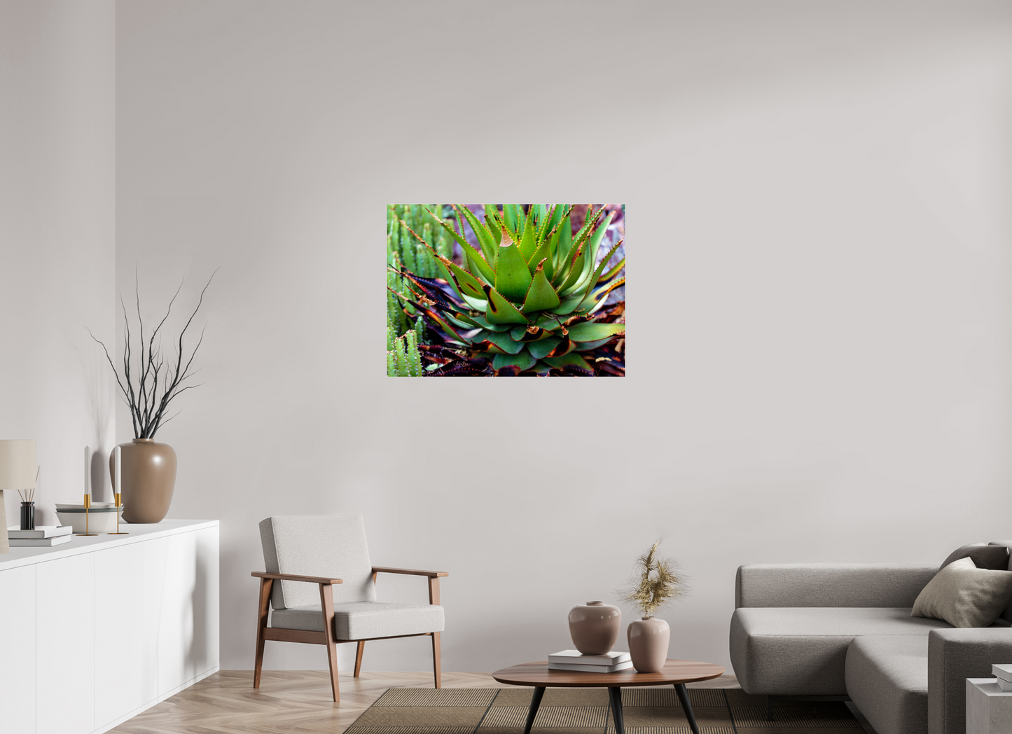 38.5 x 28″, Photo Print Under Acrylic Glass Cacti VI.2