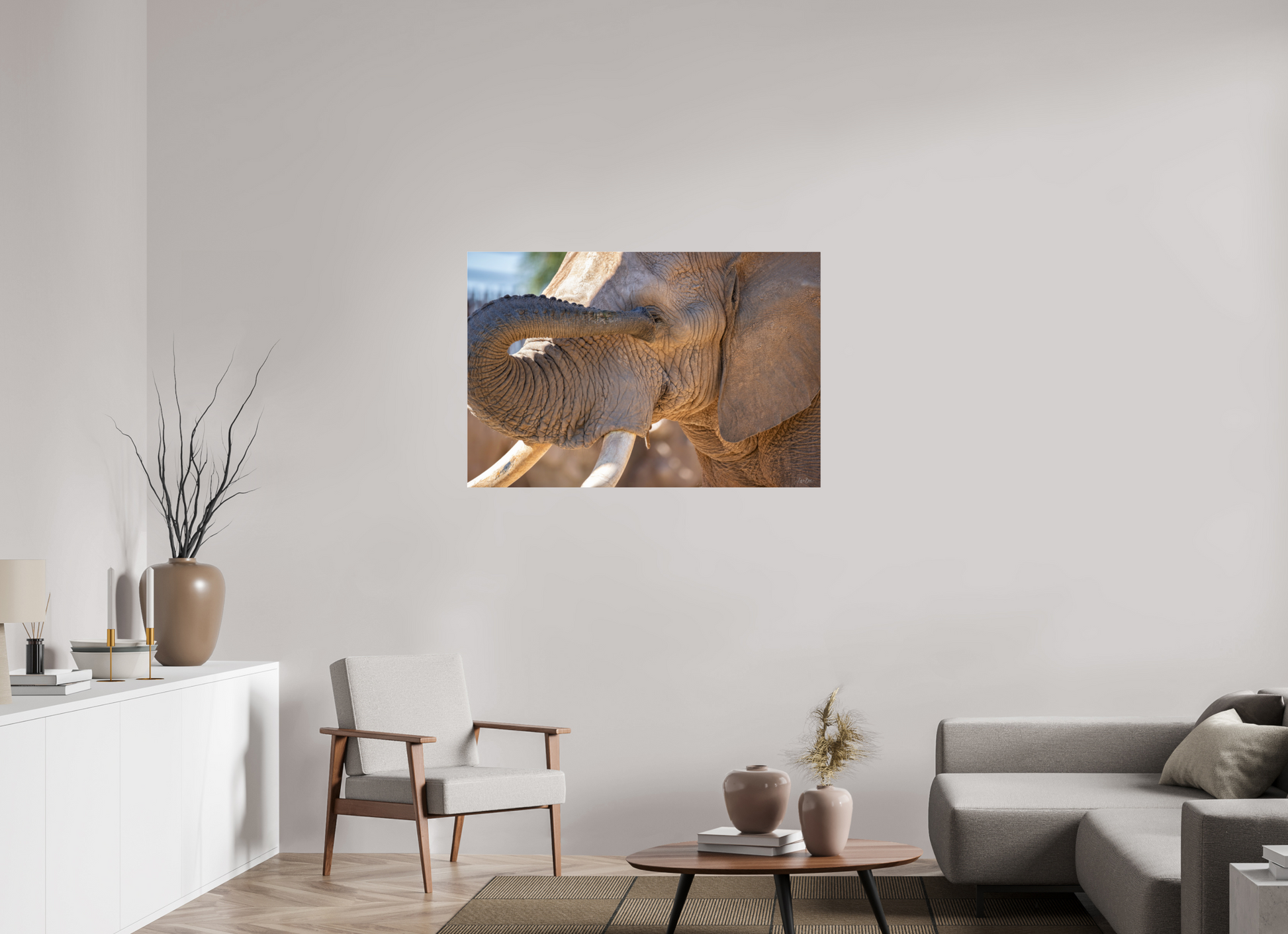 45 x 30″, Photo Print Under Acrylic Glass Bashful Ellie The Elephant