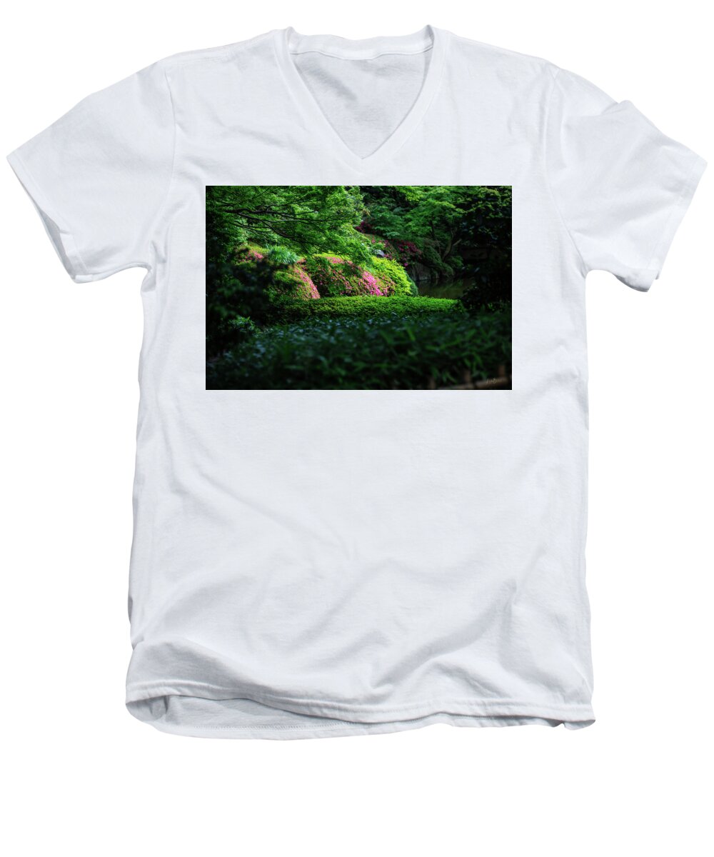 Gardens of Tokyo II - Men's V-Neck T-Shirt
