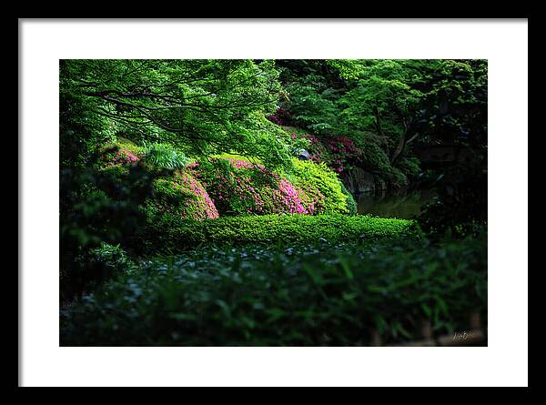 Gardens of Tokyo II - Framed Print