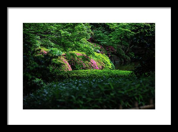 Gardens of Tokyo II - Framed Print
