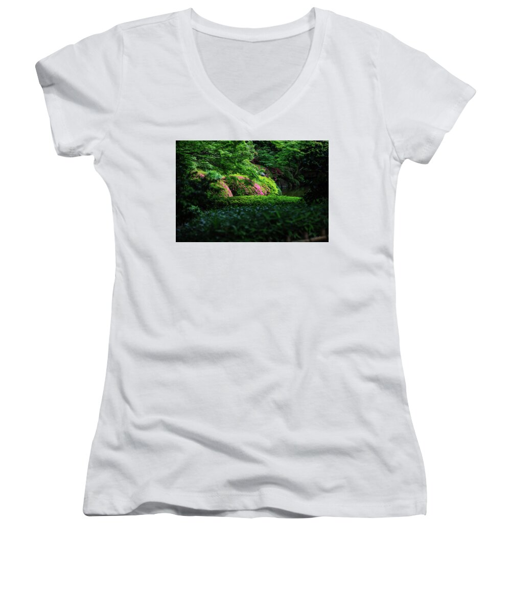 Gardens of Tokyo II - Women's V-Neck