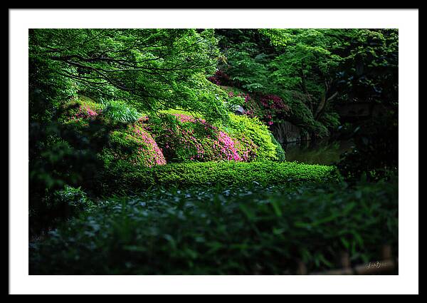 Gardens of Tokyo II - Framed Print