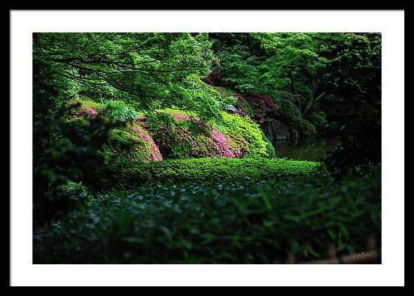 Gardens of Tokyo II - Framed Print