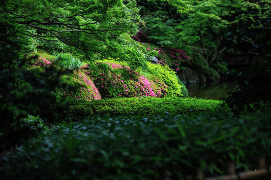 Gardens of Tokyo II - Art Print