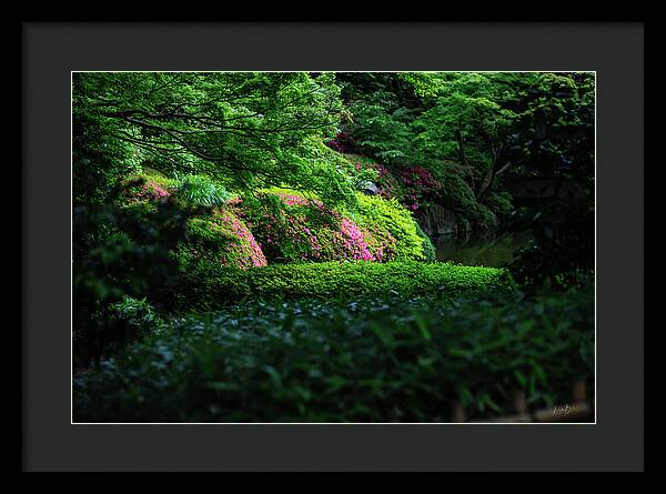 Gardens of Tokyo II - Framed Print
