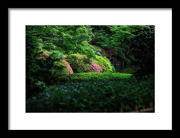 Gardens of Tokyo II - Framed Print