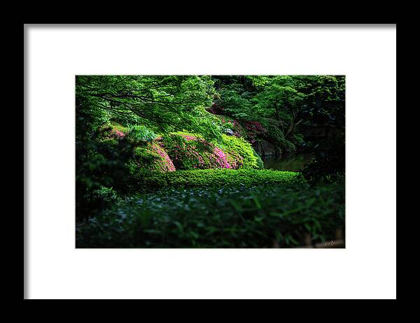 Gardens of Tokyo II - Framed Print