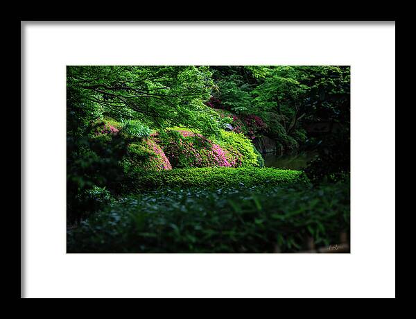 Gardens of Tokyo II - Framed Print
