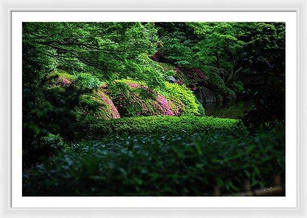 Gardens of Tokyo II - Framed Print