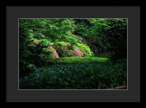Gardens of Tokyo II - Framed Print