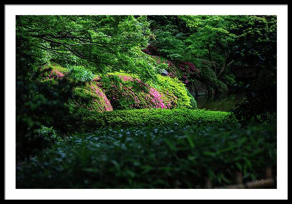 Gardens of Tokyo II - Framed Print