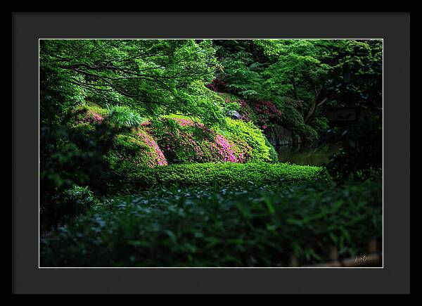 Gardens of Tokyo II - Framed Print