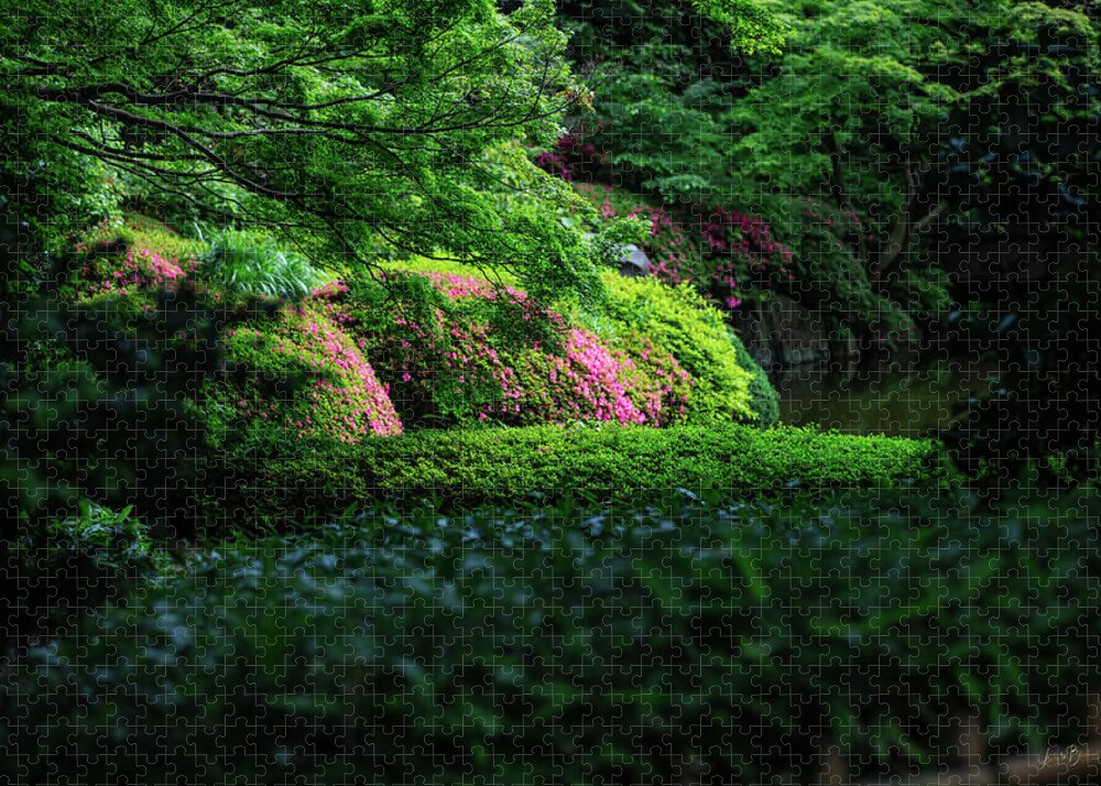 Gardens of Tokyo II - Puzzle