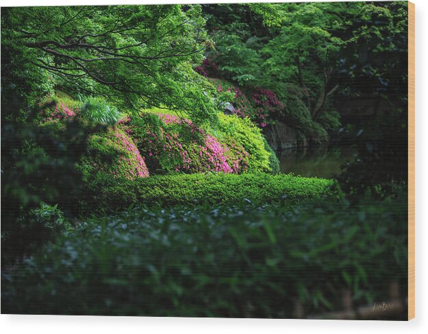 Gardens of Tokyo II - Wood Print