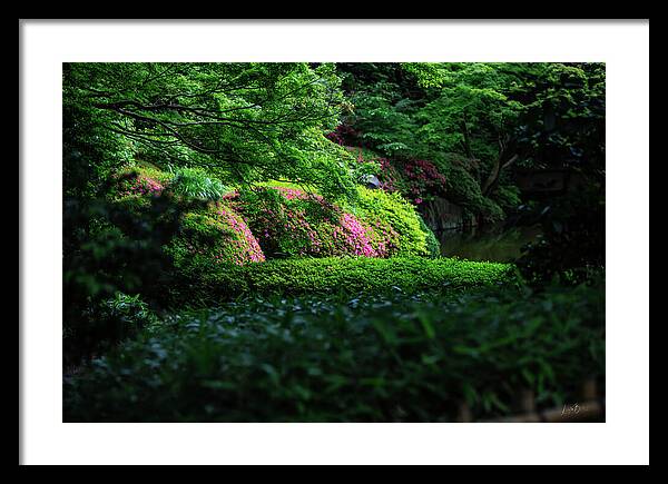 Gardens of Tokyo II - Framed Print