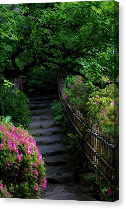 Gardens of Tokyo III - Canvas Print