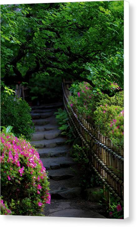 Gardens of Tokyo III - Canvas Print
