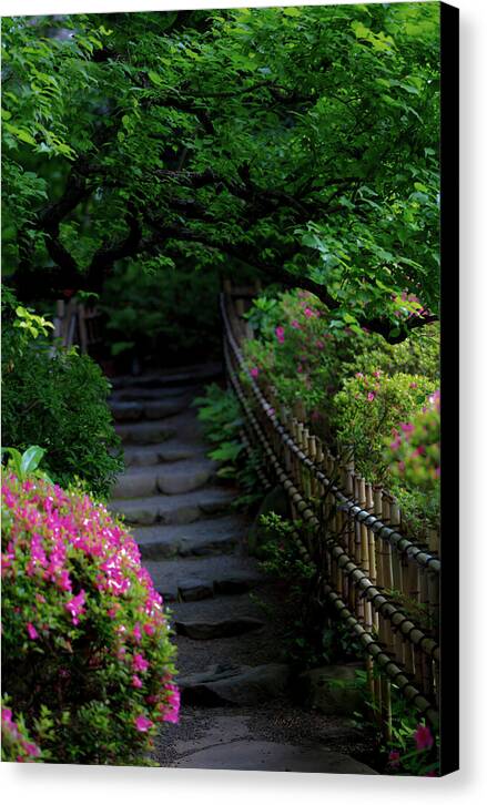 Gardens of Tokyo III - Canvas Print