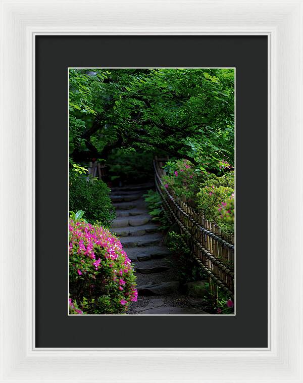 Gardens of Tokyo III - Framed Print