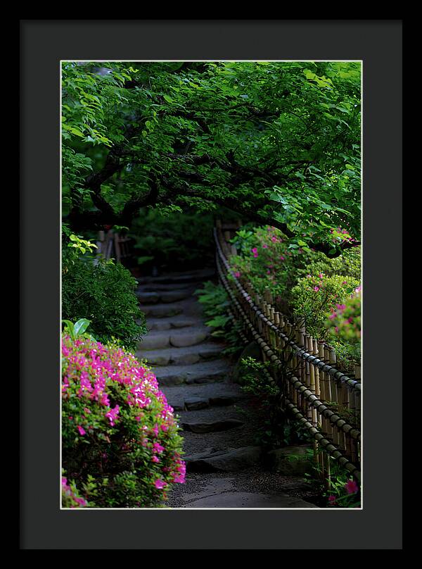 Gardens of Tokyo III - Framed Print