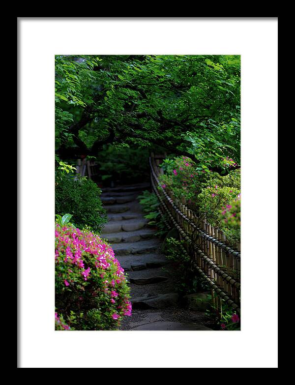 Gardens of Tokyo III - Framed Print