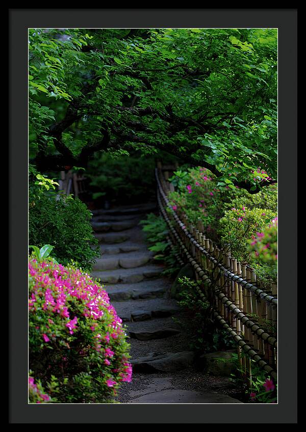 Gardens of Tokyo III - Framed Print