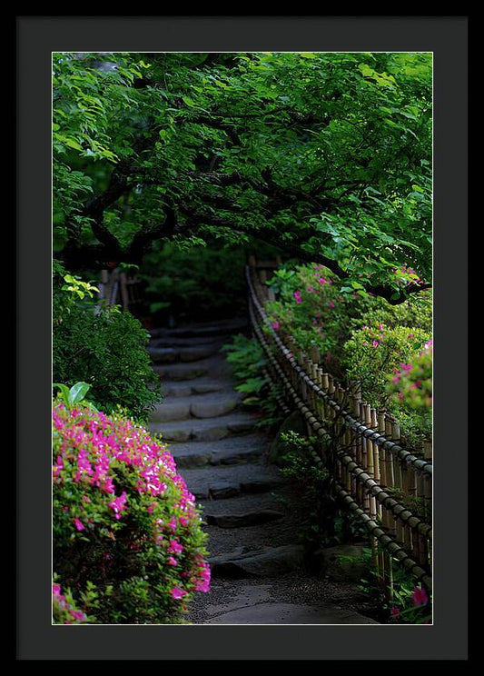 Gardens of Tokyo III - Framed Print
