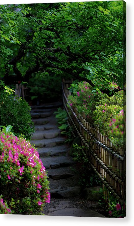 Gardens of Tokyo III - Acrylic Print