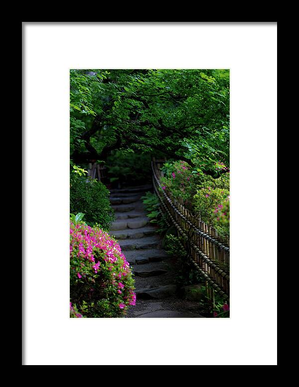 Gardens of Tokyo III - Framed Print