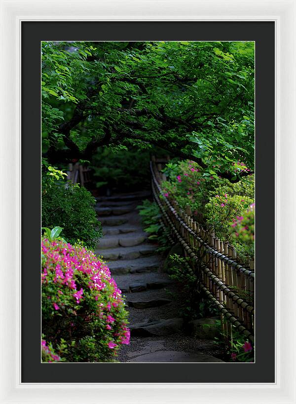Gardens of Tokyo III - Framed Print