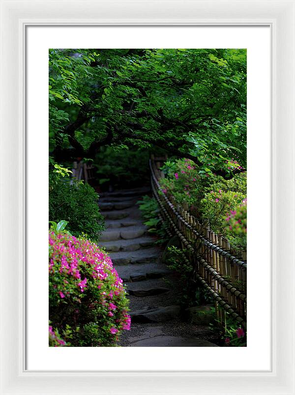 Gardens of Tokyo III - Framed Print