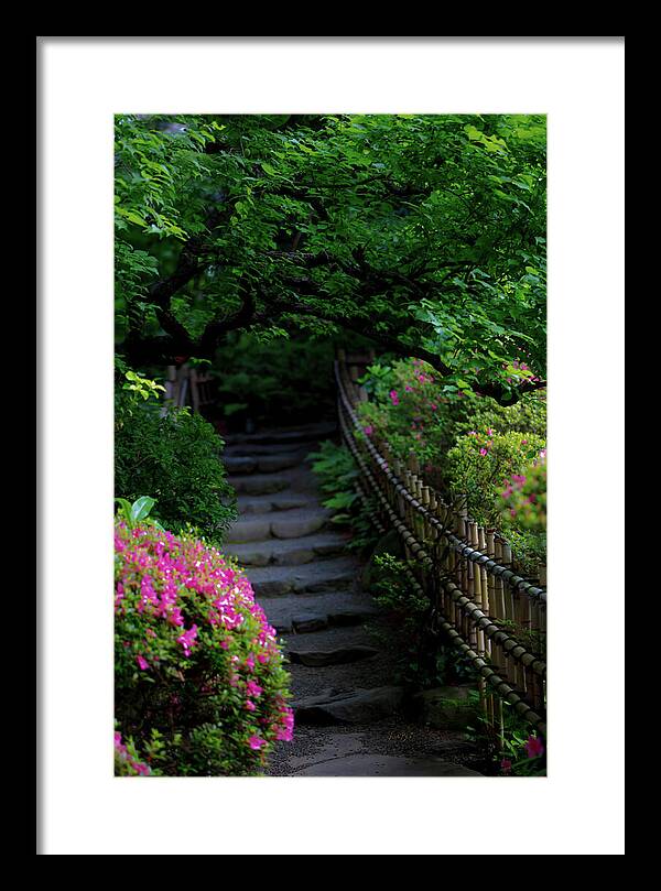 Gardens of Tokyo III - Framed Print