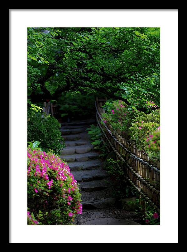 Gardens of Tokyo III - Framed Print